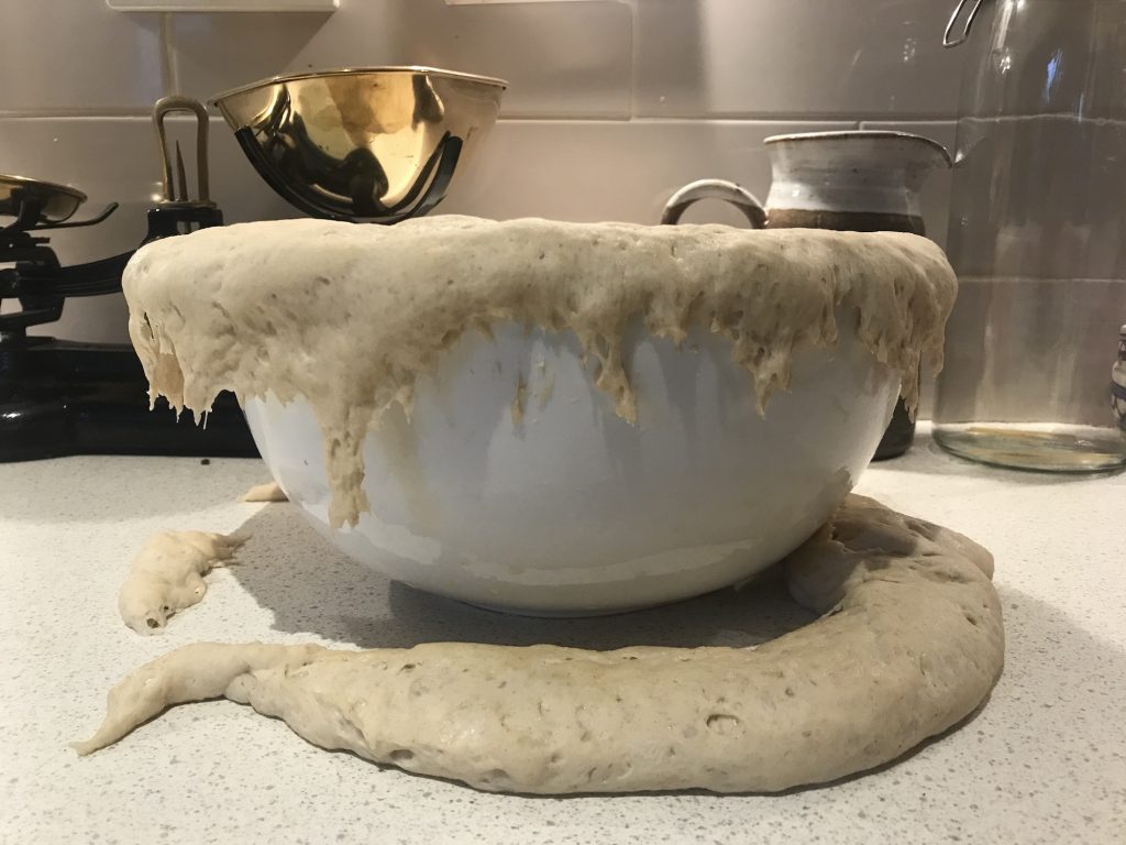 dough overflowing from a bowl